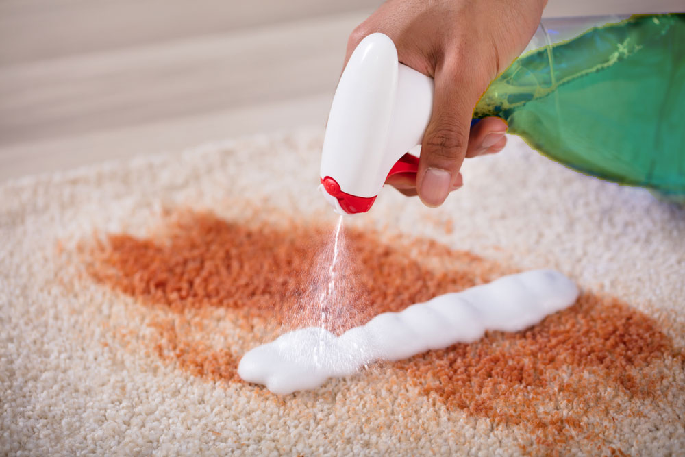 Carpet Stain Removal Service Get Rid Of Difficult Deep Stains